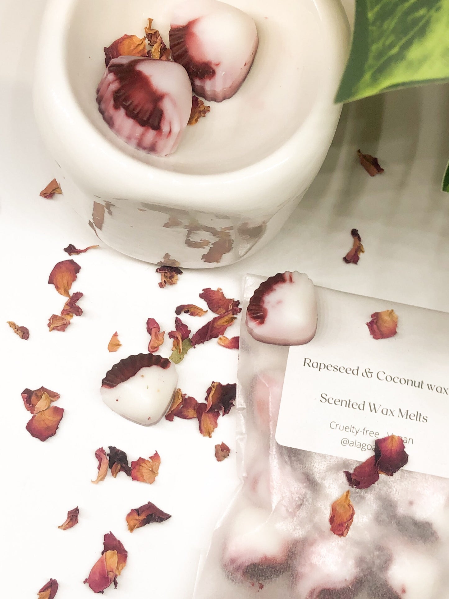 Jardim das Cerejeiras Wax Melt